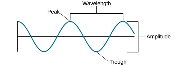 Structure of a wave