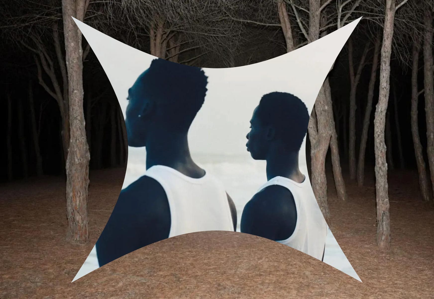 Build a Smooth Scroll Landing Page using Nextjs, GSAP, Locomotive Scroll v5